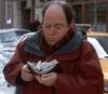 Costanza-wallet.jpg