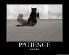 patience.jpg