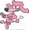 poodle happy dance.jpg