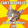 advice-cat-credit-card.jpg