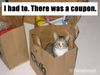 phoebe-coupon-cat-funny-comic.jpg