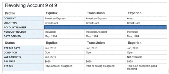 AMEX summary 2.gif