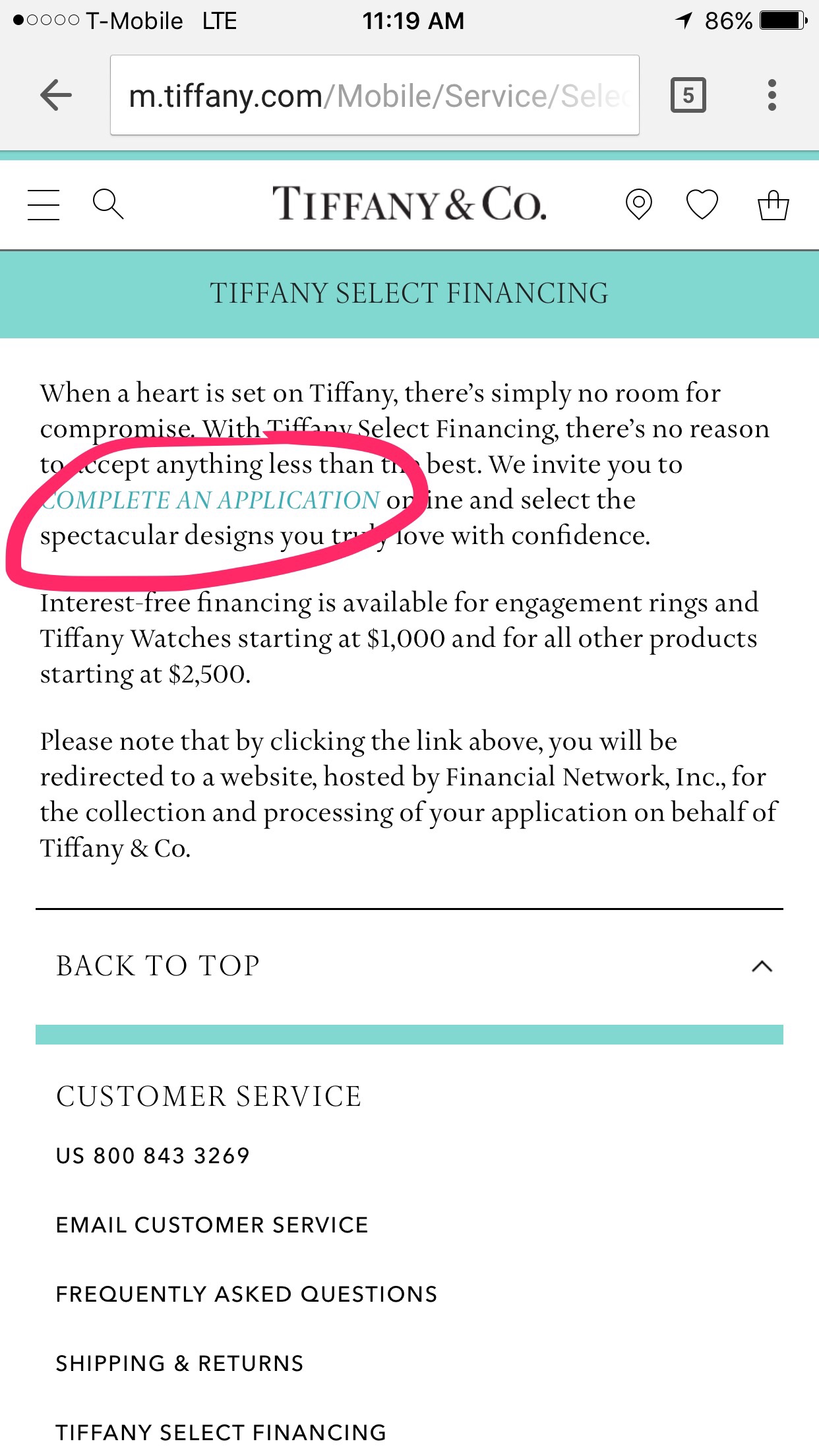 tiffany & co financing