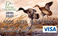 Mallard2_DU_Visa_II