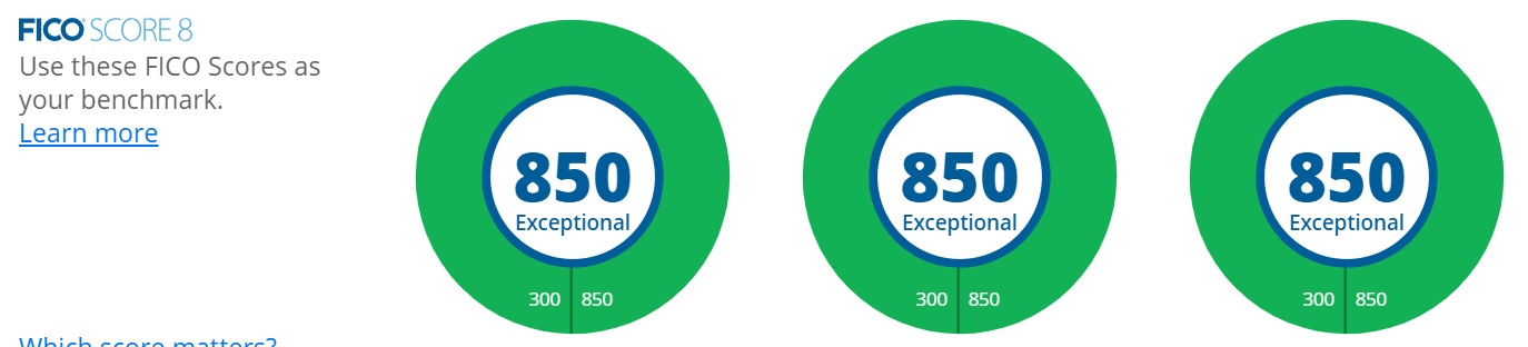 Sharing all of my 28 FICO scores - myFICO® Forums - 5493408