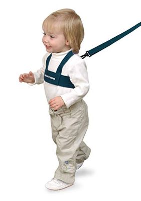 toddlerleash.jpg