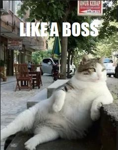 Like A Boss2.jpg