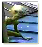 grey alien3.png