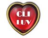 LUV-button.JPG