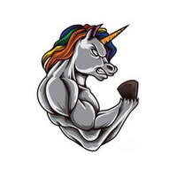 Unicorn Flex.PNG