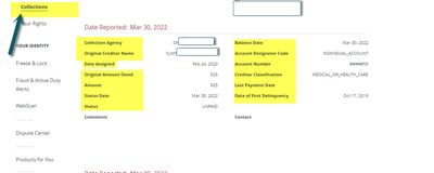 Sample Collection 1 Equifax.jpg