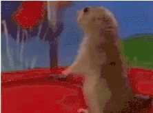 dundundun-suspense.gif