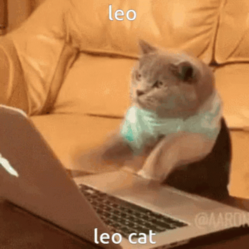 IMG_1488.gif